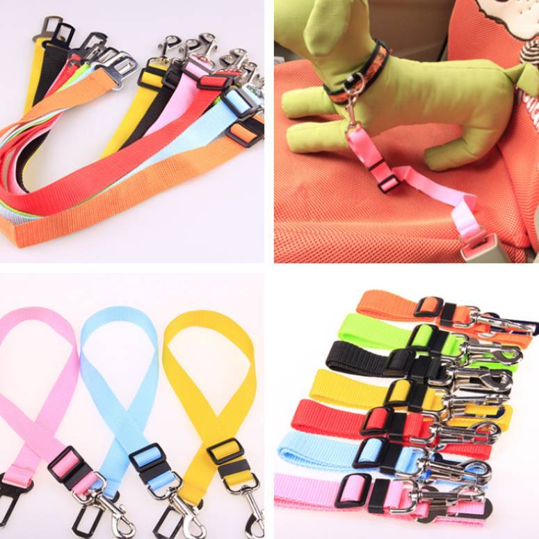 Load image into Gallery viewer, Fixed Strap Polyester Dog Strap Dog Leash Dog Leash
